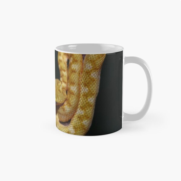Item preview, Neonate Eyelash Viper (Bothriechis schlegelii) designed and sold by Pauline Catling.
