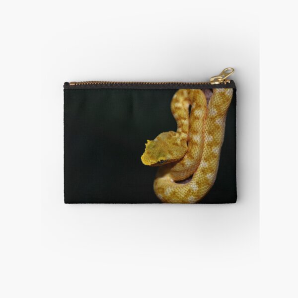 Item preview, Neonate Eyelash Viper (Bothriechis schlegelii) designed and sold by Pauline Catling.