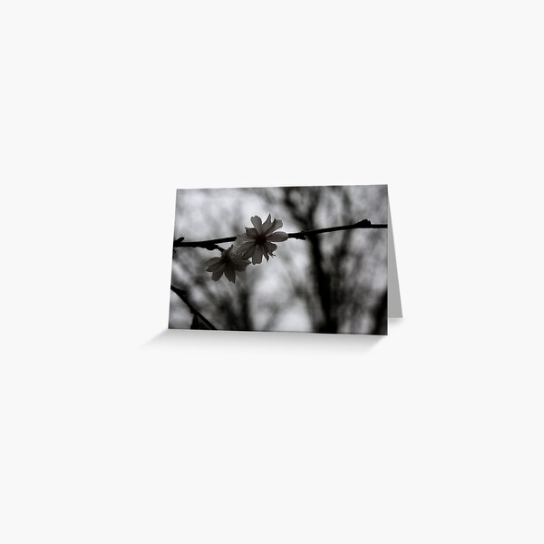 A little Winter Happiness for a special Winter Girl..... Danica... Greeting Card