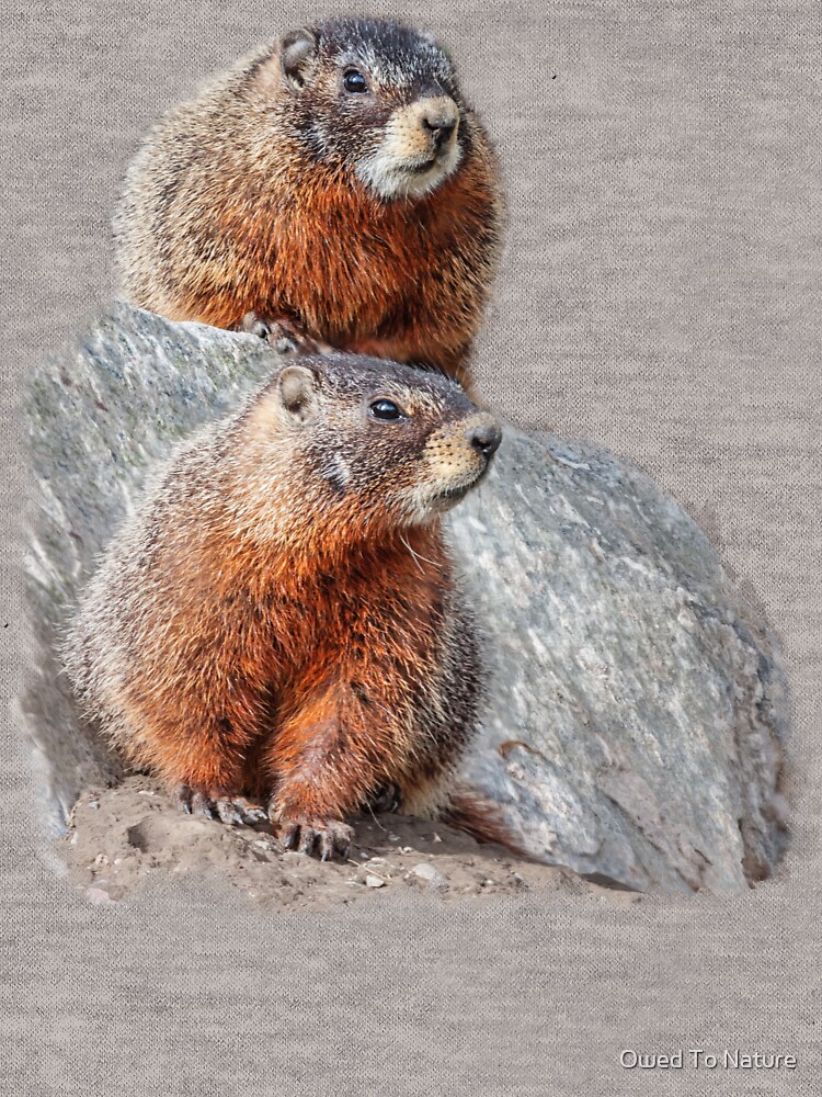 Mount Marmot
