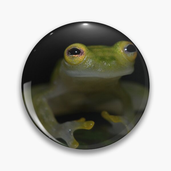 Item preview, Reticulated Glass Frog (Hyalinobatrachium valerioi) designed and sold by Pauline Catling.