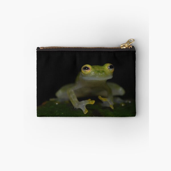 Item preview, Reticulated Glass Frog (Hyalinobatrachium valerioi) designed and sold by Pauline Catling.