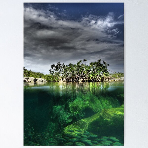 Item preview, Blue Lagoon and Mangrove Island designed and sold by crazymikeguide.