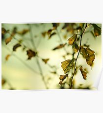 Autumn Leaves.... Poster