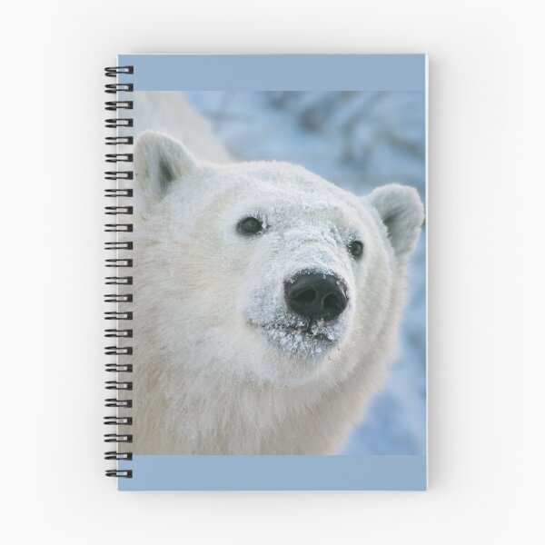 Item preview, Face of a cub designed and sold by Owed To Nature.