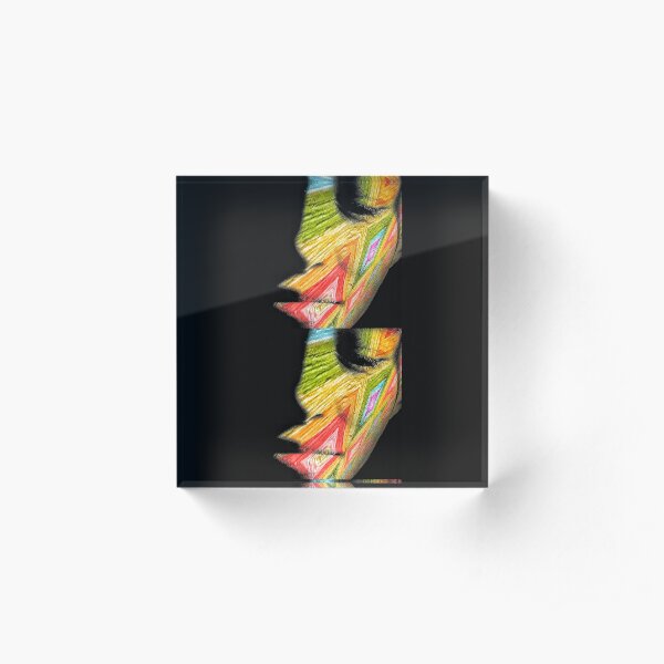 Rainbow Warrior Acrylic Block
