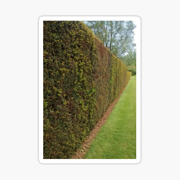 Bushes - Batemans Sticker