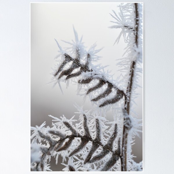Item preview, Frozen Bracken 2 designed and sold by Kasia Nowak.