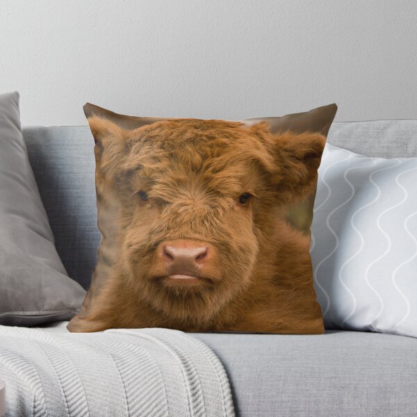 Cute Calf Highland Cow Scottish Highlands. Throw Pillow