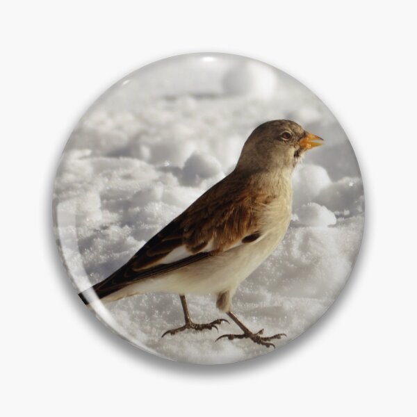 Artikelvorschau, Schneeammer - Plectrophenax nivalis entworfen und verkauft von Chris Monks.