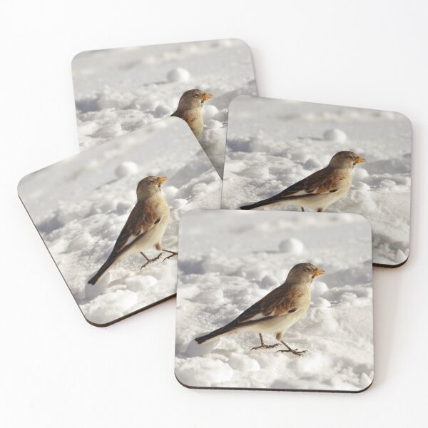 Item preview, Snow Bunting - Plectrophenax nivalis designed and sold by Chris Monks.