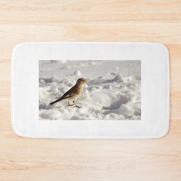 Item preview, Snow Bunting - Plectrophenax nivalis designed and sold by Chris Monks.