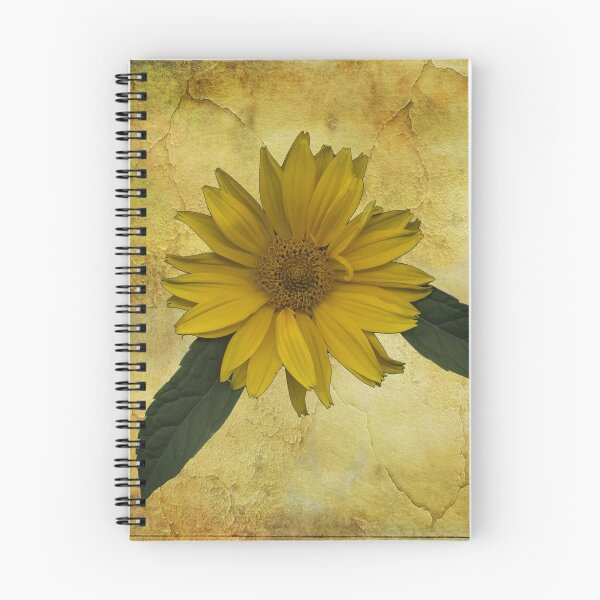Item preview, Bright And Bold  designed and sold by Sandra Foster.
