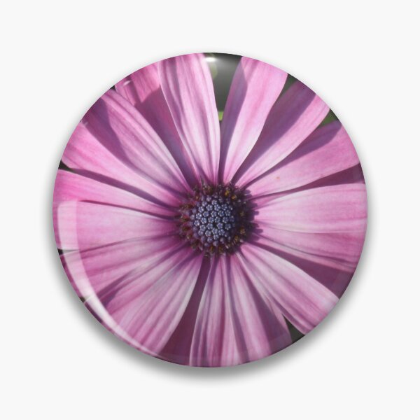 Item preview, Spectacular African Daisy designed and sold by taiche.