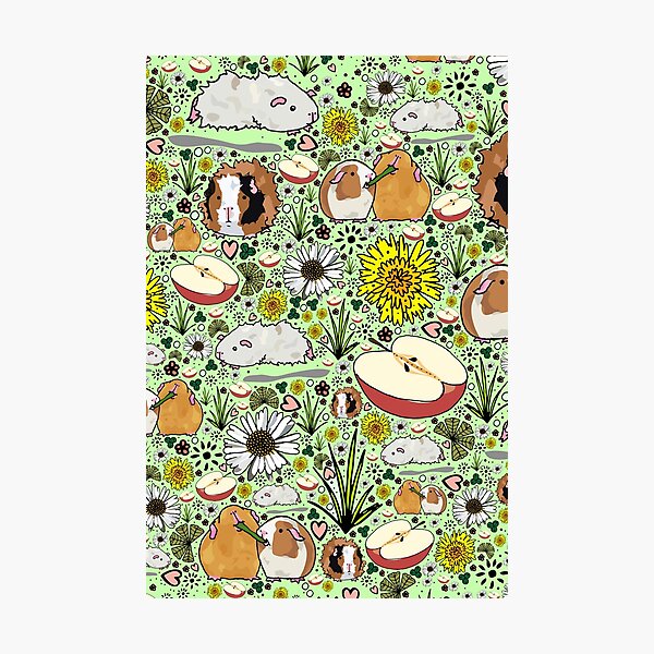 Guinea Pigs in Green Photographic Print