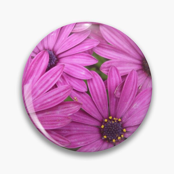 Item preview, Purple Petals Interwoven Cape Daisy Flowers designed and sold by taiche.