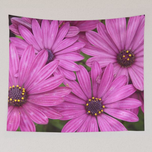 Item preview, Purple Petals Interwoven Cape Daisy Flowers designed and sold by taiche.