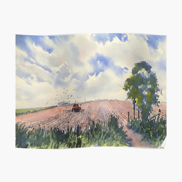 Furrows and Gulls at Flamborough Poster