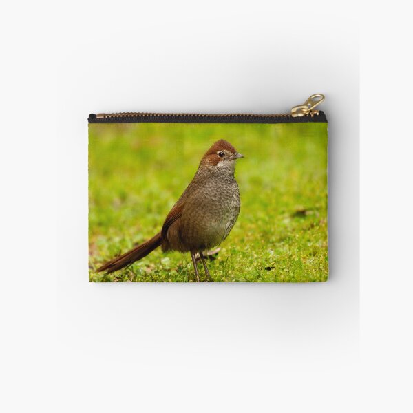 Item preview, Bristly Character designed and sold by CBoyle.