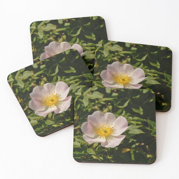 Item preview, Pink Baby Rose / Rosa multiflora designed and sold by xophotography.