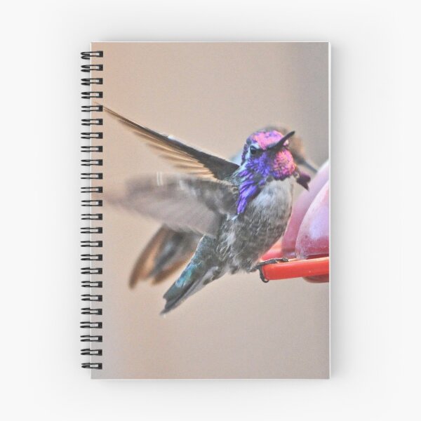 Item preview, MALE AND FEMALE HUMMINGBIRDS ON FEEDER PERCH designed and sold by JAYMILO.