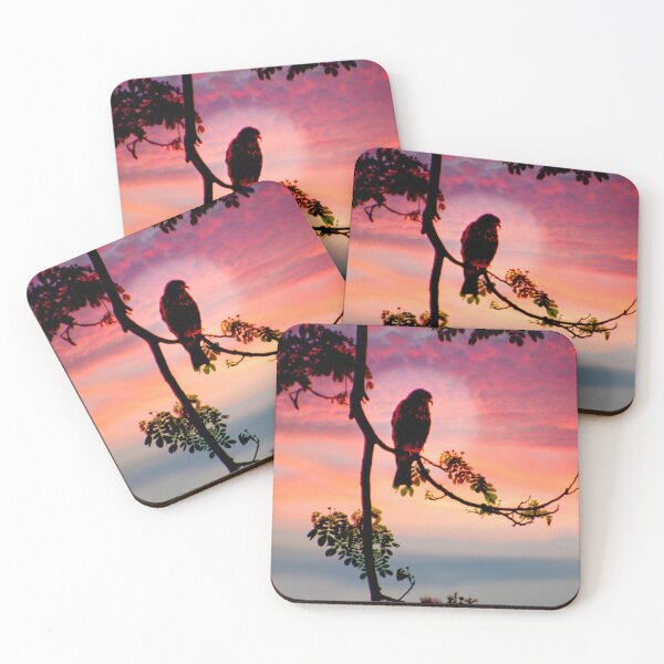 Item preview, Lago Chilicote Hawk II designed and sold by alabca.