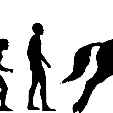 Artwork thumbnail, Evolution Riding - Horse - Rider by AndiHK