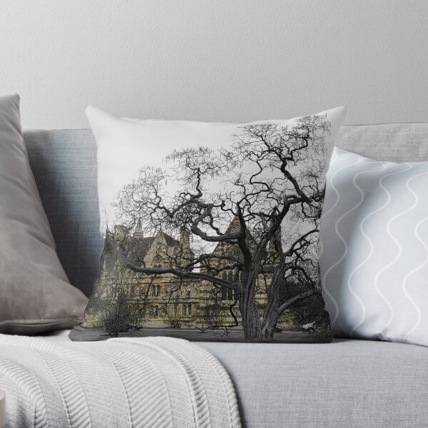 Oxford University motto - Lord is my light Throw Pillow