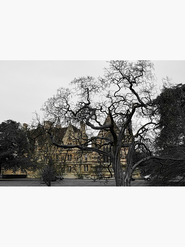 Oxford University motto - Lord is my light by santoshputhran