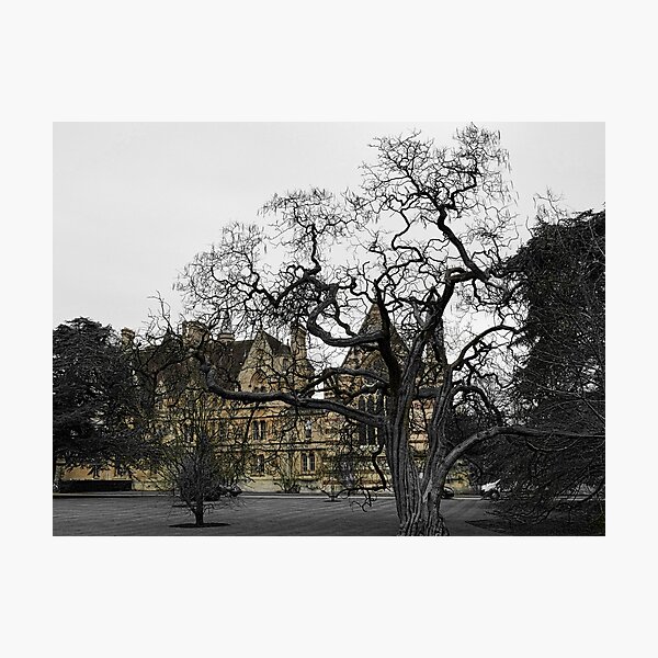 Oxford University motto - Lord is my light Photographic Print