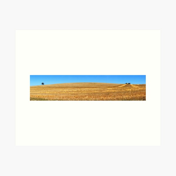 Item preview, Harvest Pano designed and sold by Bill  Robinson.