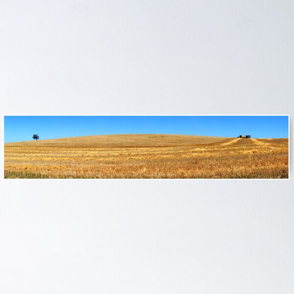 Item preview, Harvest Pano designed and sold by Bill  Robinson.