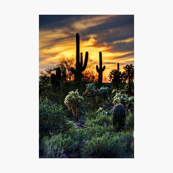 The Way to Heaven Photographic Print