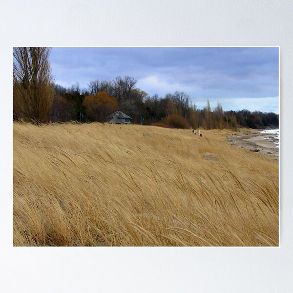 Item preview, Blowing In The Wind designed and sold by Greta McLaughlin.