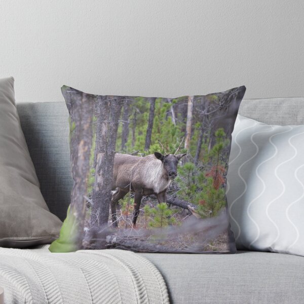 Item preview, Kennedy Siding BC Caribou Female designed and sold by kitkat55555.