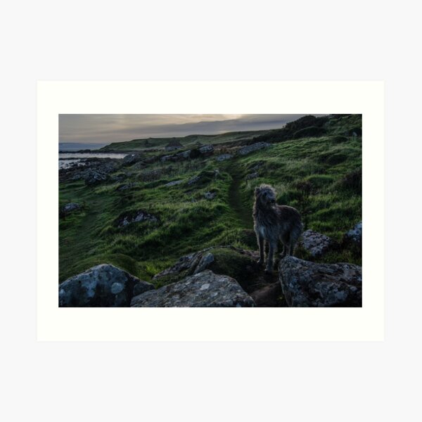 homeless Art Print