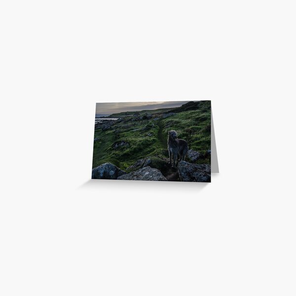 homeless Greeting Card