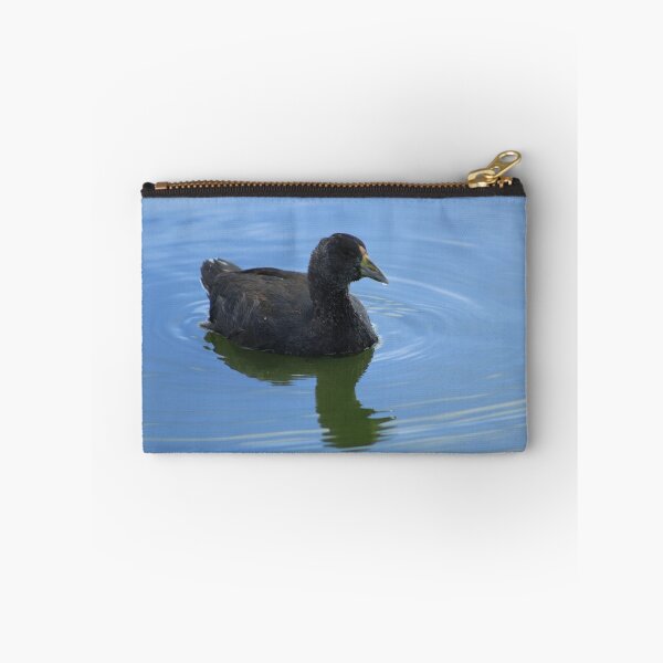Aperçu de l'œuvre Young American Coot créée et vendue par rhamm.