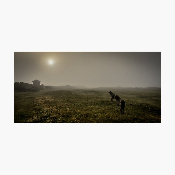 huters in the mist Photographic Print