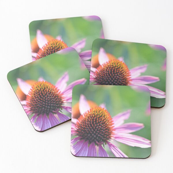 Item preview, Echinacea designed and sold by Cloudlingpics.