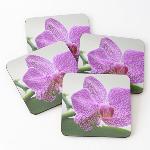 Item preview, Key West flower designed and sold by croper.