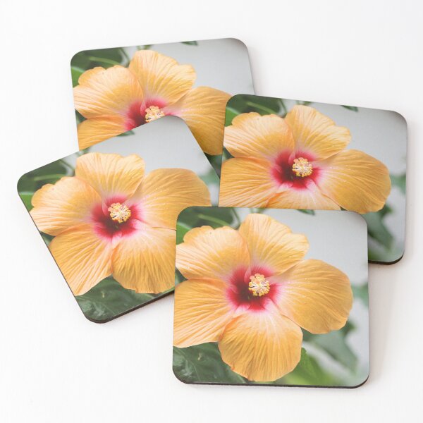 Item preview, Key West hibiscus designed and sold by croper.
