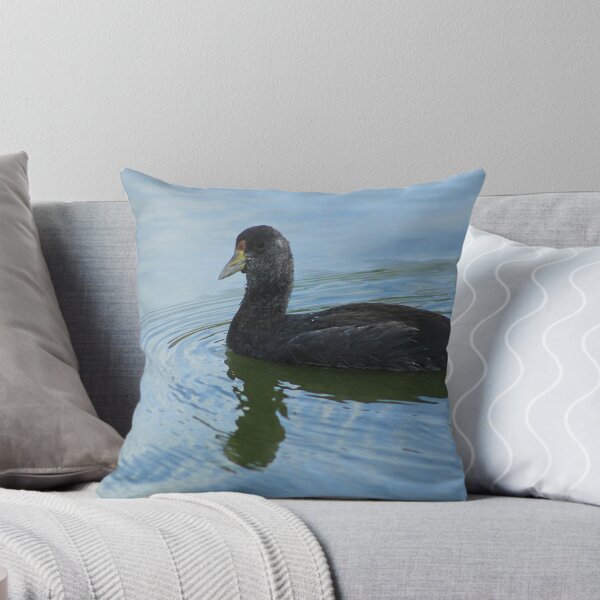 Item preview, Young American Coot Swimming designed and sold by rhamm.