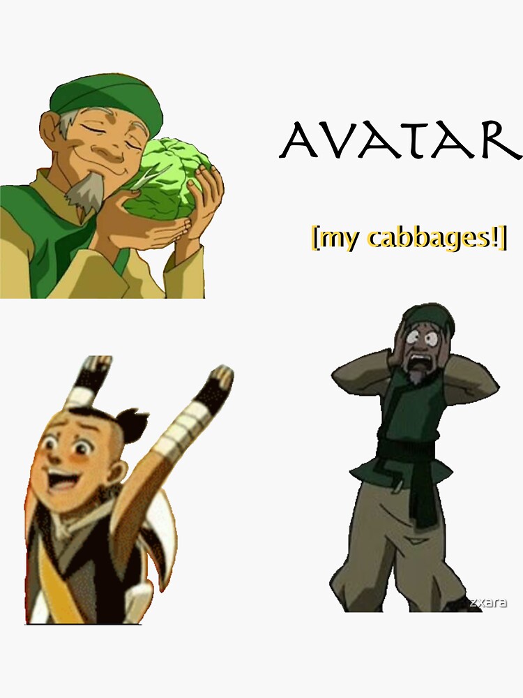  Avatar  The Last  Airbender  funny pack  Sticker  by zxara 