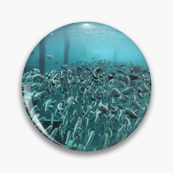 Item preview, Million and One Fish designed and sold by crazymikeguide.