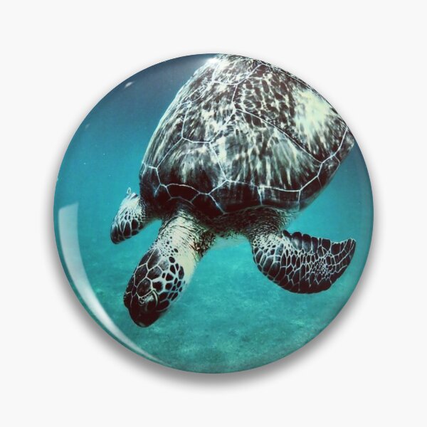 Aperçu de l'œuvre Tortue de mer plongée créée et vendue par crazymikeguide.