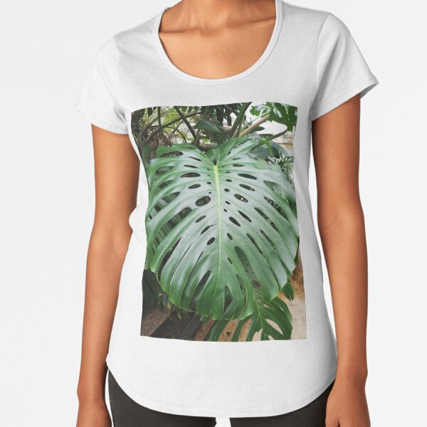 Large green leaf Premium Scoop T-Shirt