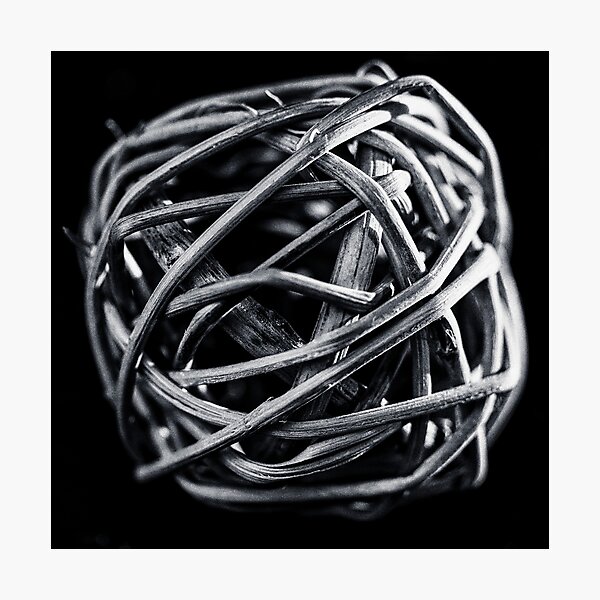 Structure I Photographic Print