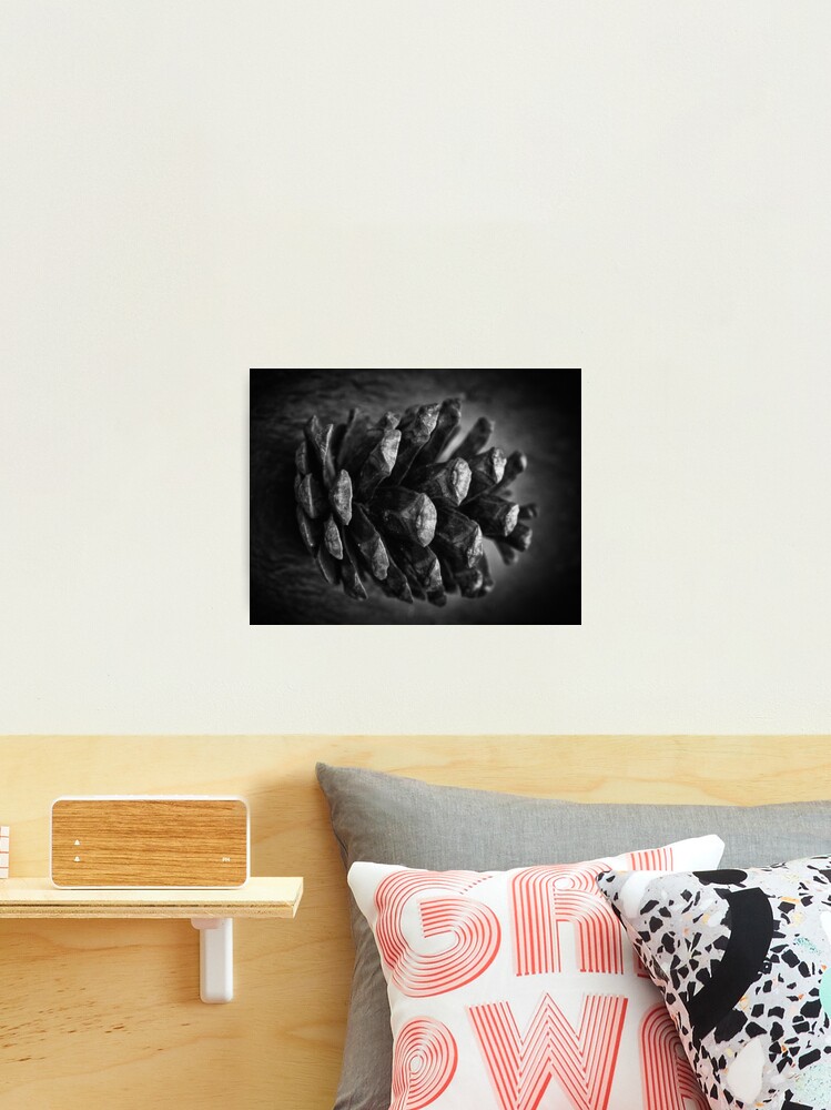 Thumbnail 2 of 3, Photographic Print, Untitled designed and sold by FrankThomas.