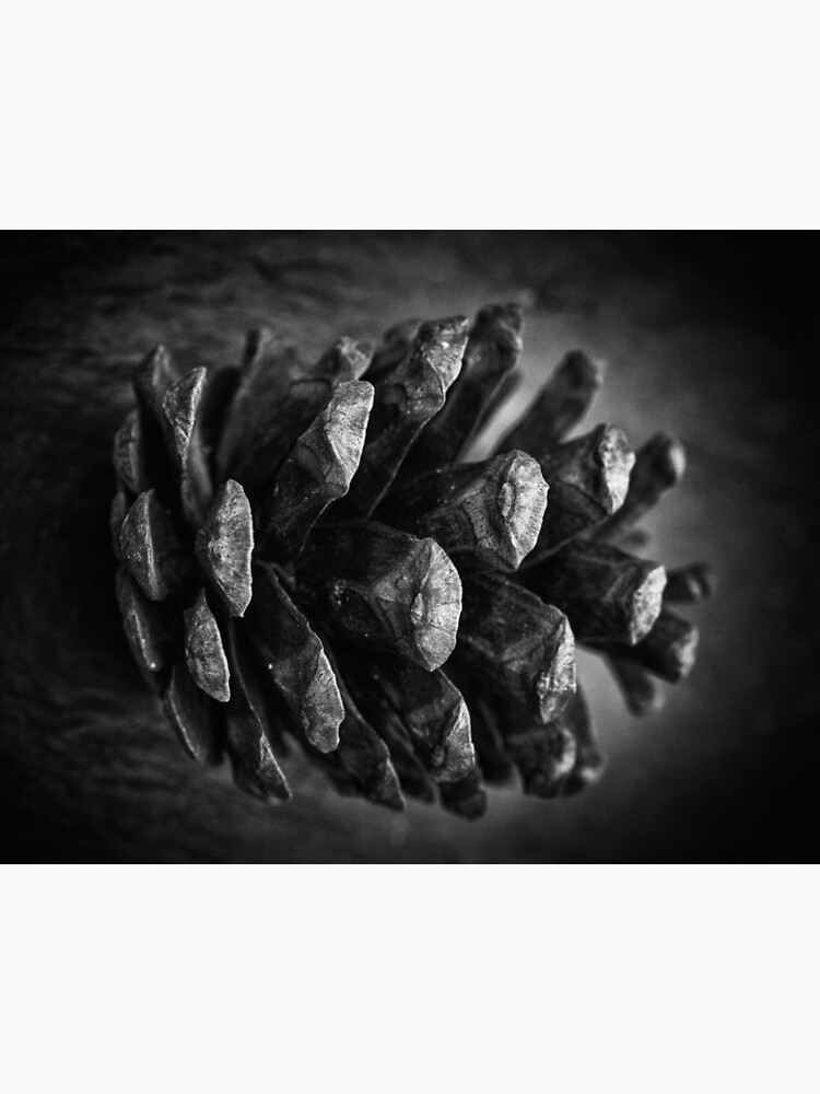 Thumbnail 3 of 3, Photographic Print, Untitled designed and sold by FrankThomas.